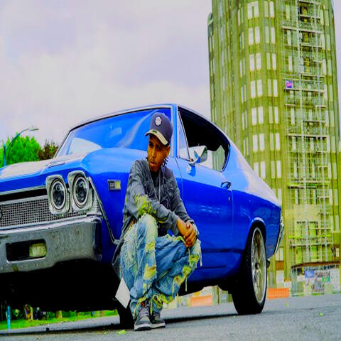 Amaleey album art