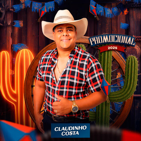 VAQUEIRINHA DA HORA album art