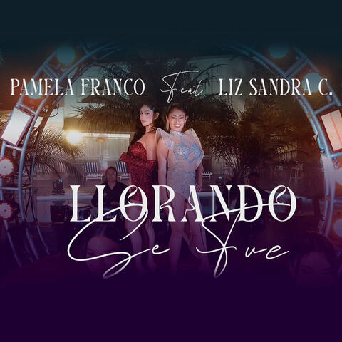 Llorando Se Fue album art