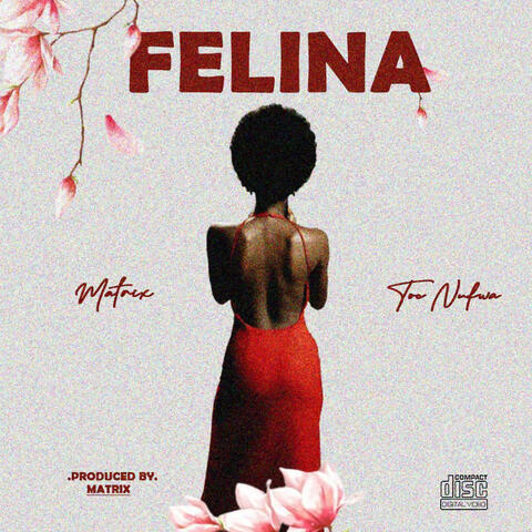 Felina album art
