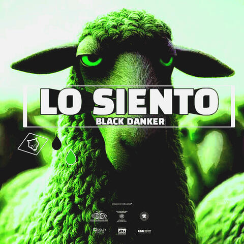 LO SIENTO. album art
