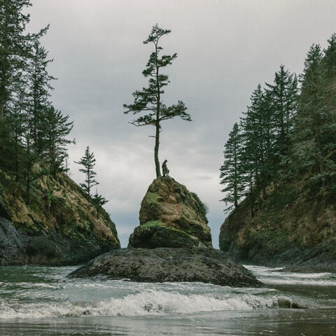 SIREN SONG album art