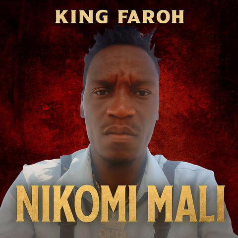 Nikomi mali album art