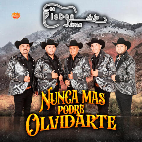 Nunca Más Podré Olvidarte album art