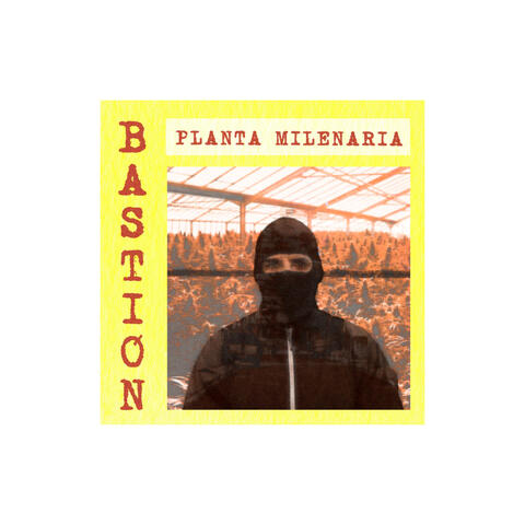 Planta Milenaria album art