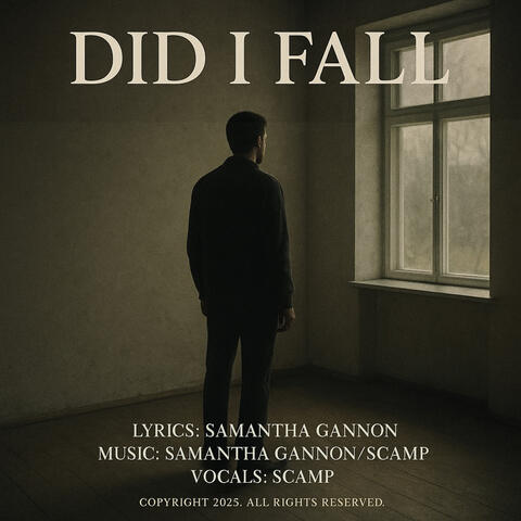 Did I Fall album art