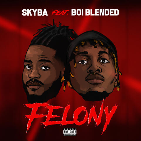 FELONY album art