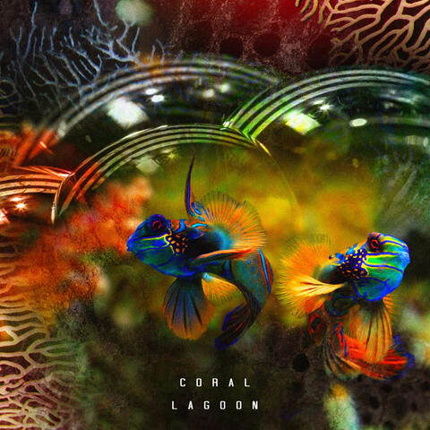 Coral Lagoon album art