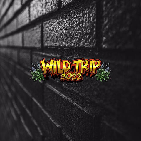 Wild Trip 2022 album art
