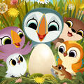Thumbnail Image