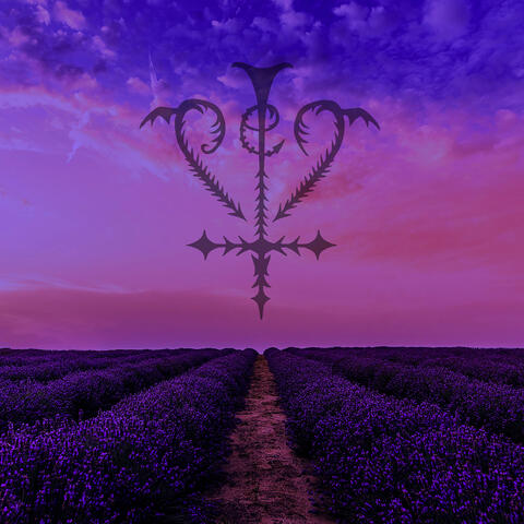 Fields of Purple album art