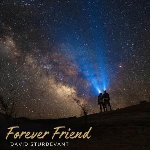 Forever Friend album art