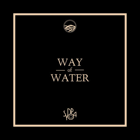 Way of Water album art