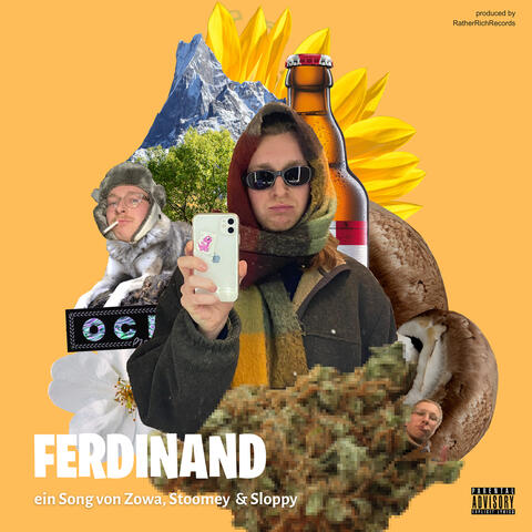 Ferdinand album art