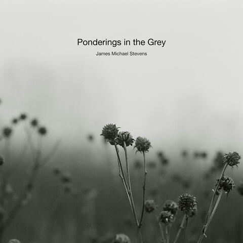 Ponderings in the Grey album art