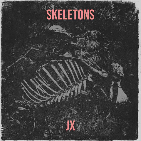 Skeletons album art