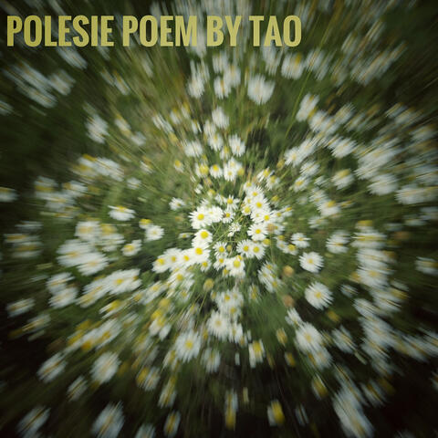 Polesie Poem album art
