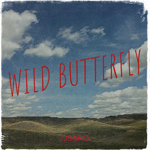 Wild Butterfly album art