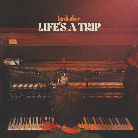 Life's a Trip album art
