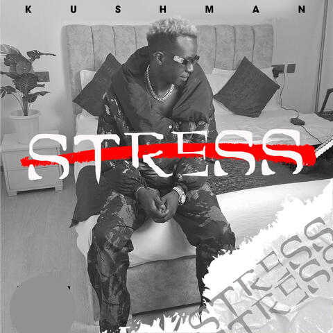 Stress album art