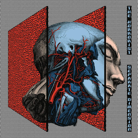 Separate Dimension album art