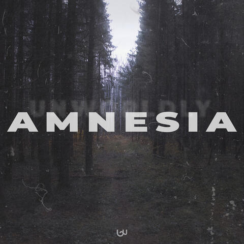 Amnesia album art