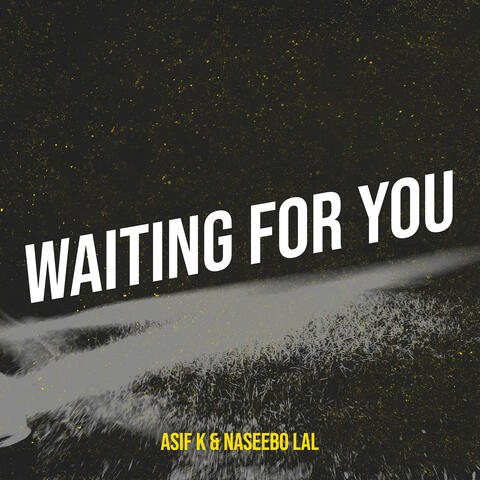 Waiting for You album art