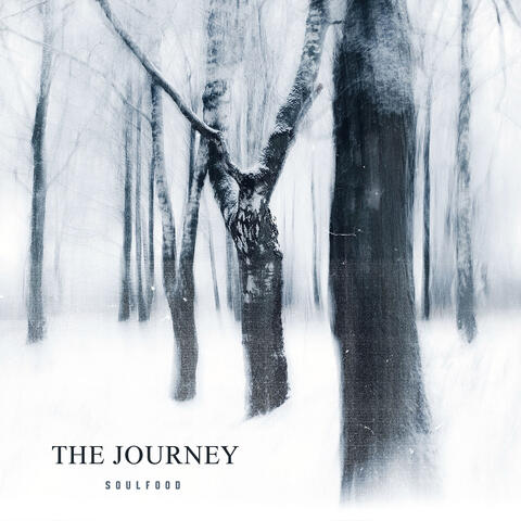 The Journey album art