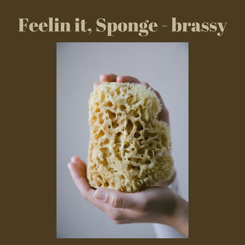 Feelin It, Sponge album art