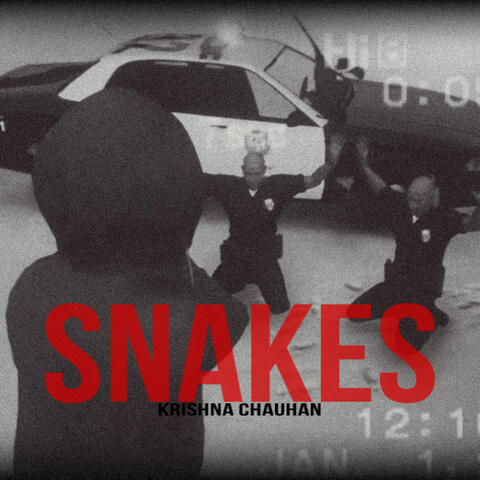 Snakes album art