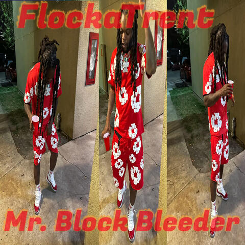 Mr. Block Bleeder album art