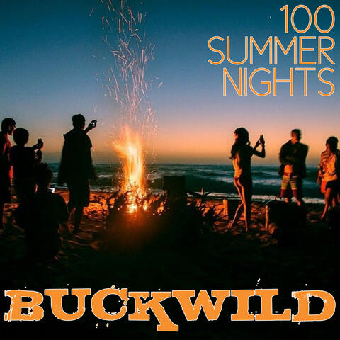 100 Summer Nights album art