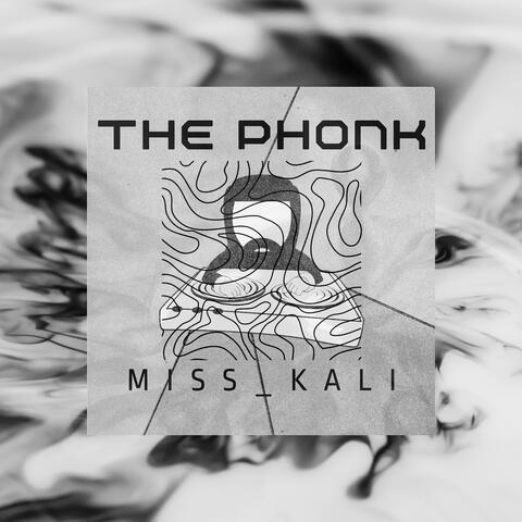 The Phonk album art