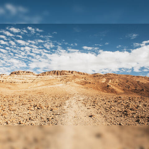 Desolate Passover but Not Forgotten album art