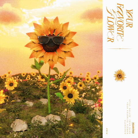 Your Favorite Flower album art