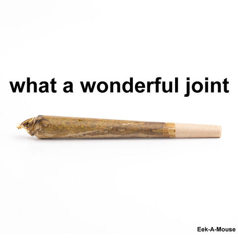 What a Wonderful Joint album art