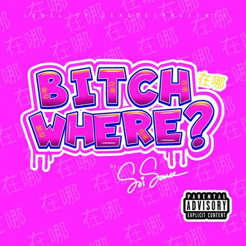 Bitch Where album art