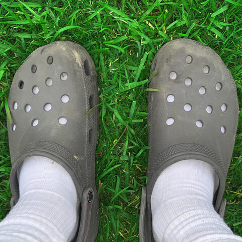 Croc Walk album art