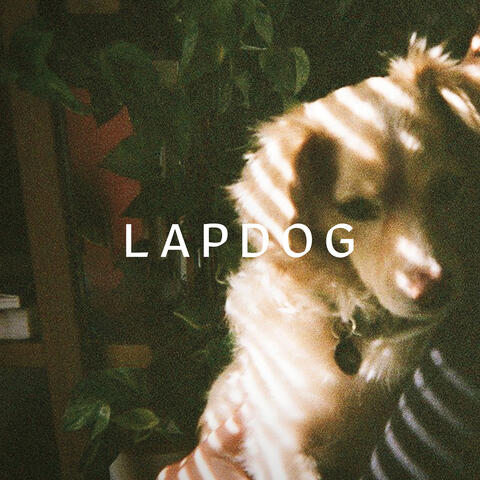 LAPDOG album art