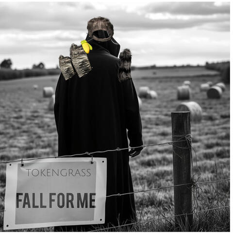 Fall for Me album art