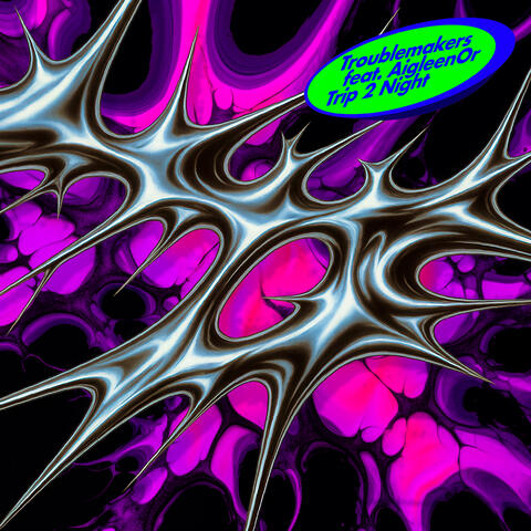 Trip 2 Night album art