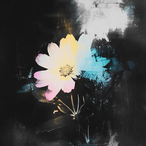 Threshold (Piano) album art