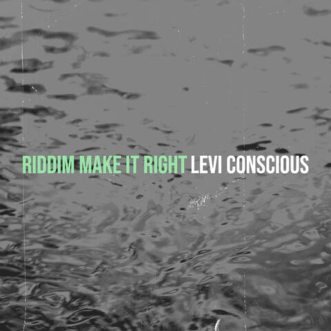 Riddim Make It Right album art