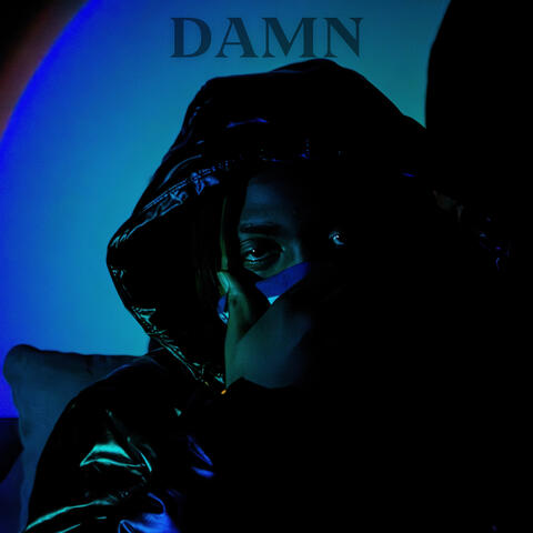 Damn album art