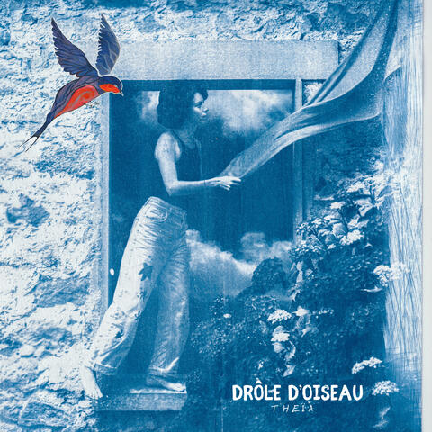 Drôle D'oiseau album art