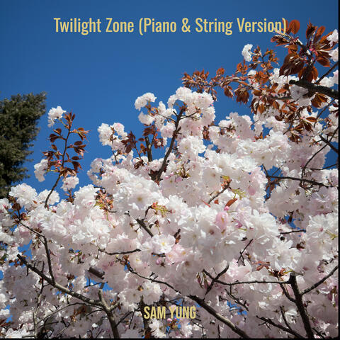 Twilight Zone (Piano & String Version) album art