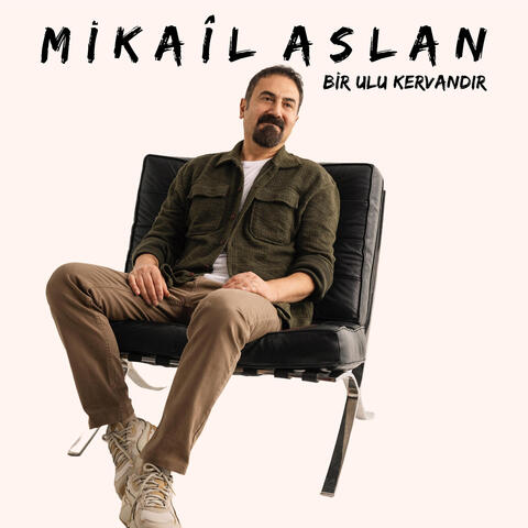 Bir Ulu Kervandır album art