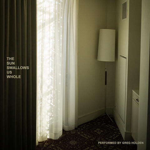 The Sun Swallows Us Whole album art