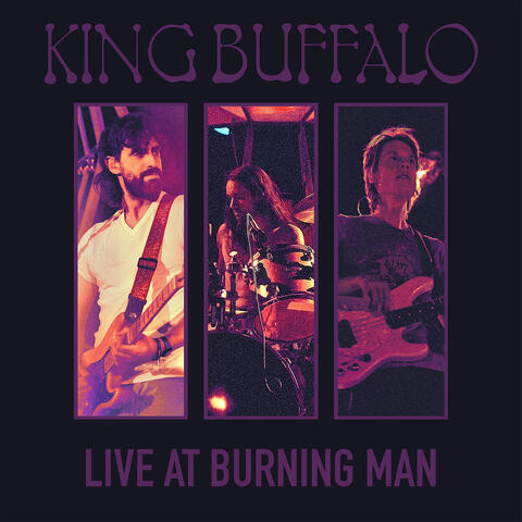 Live at Burning Man album art