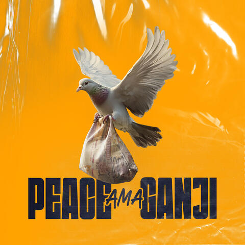 Peace Ama Ganji album art